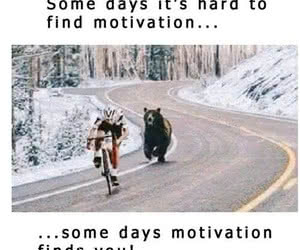 bear chasing bike motivation
