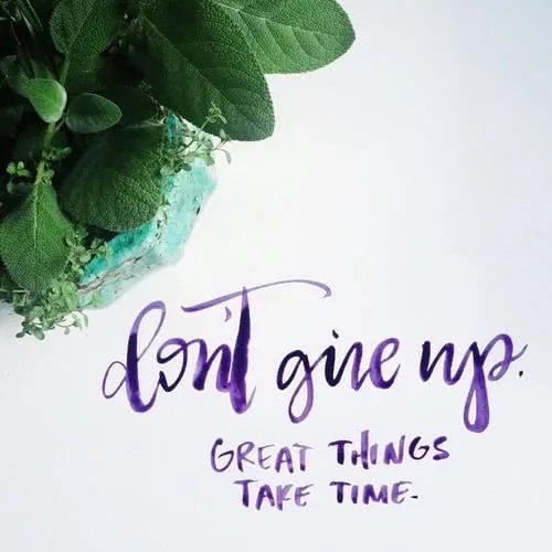 Green potted plant above handwritten text in purple reading "don't give up. GREAT THINGS TAKE TIME."