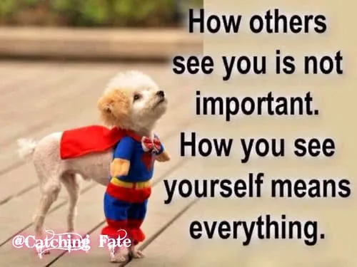Small dog wearing superhero cape and outfit looking upward with inspirational text about self-perception