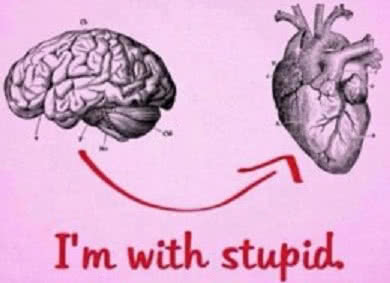im with stupid