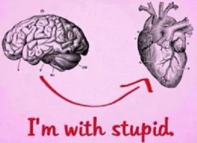 Anatomical illustrations of a brain and heart connected by red arrows with text reading "I'm with stupid."