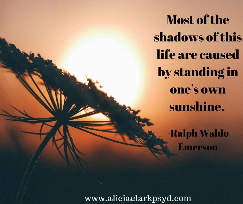 Silhouetted plant against bright sunset with inspirational quote by Ralph Waldo Emerson about shadows and sunshine