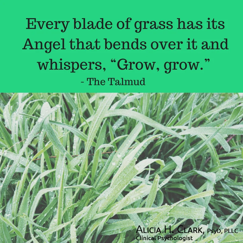 Green grass with text quote about angels guiding grass growth, attributed to The Talmud, credited to Alicia H. Clark, PsyD, PLLC Clinical Psychologist