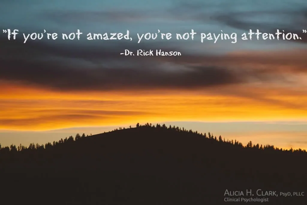Silhouetted forested hillside against dramatic orange and blue sunset sky with motivational quote about amazement and attention