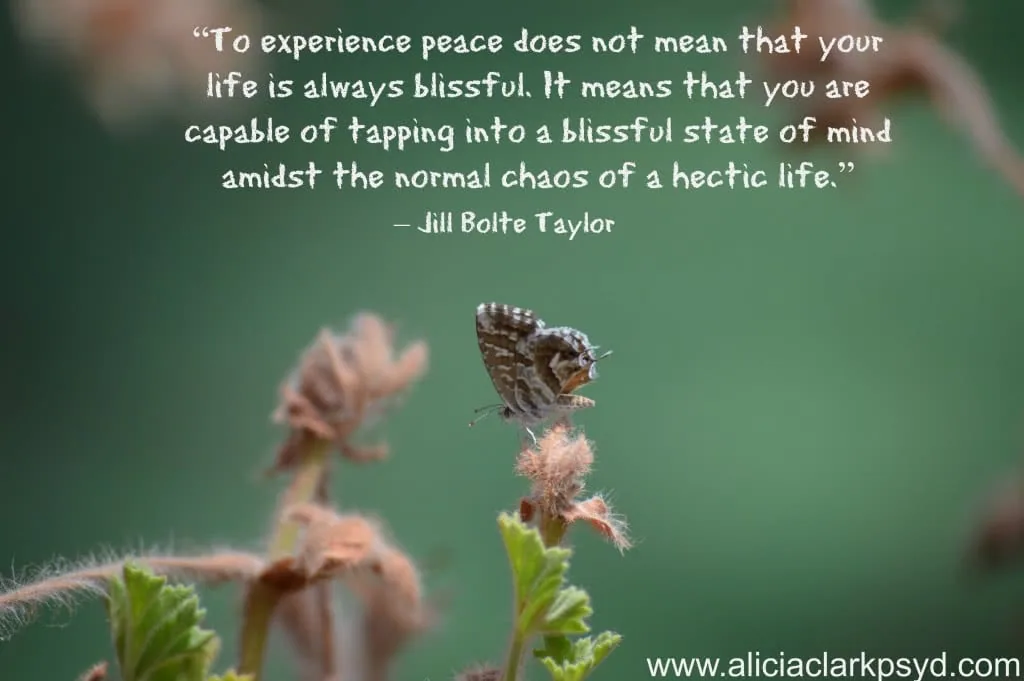 Brown butterfly perched on small pink flower buds against blurred green background with quote about inner peace by Jill Bolte Taylor