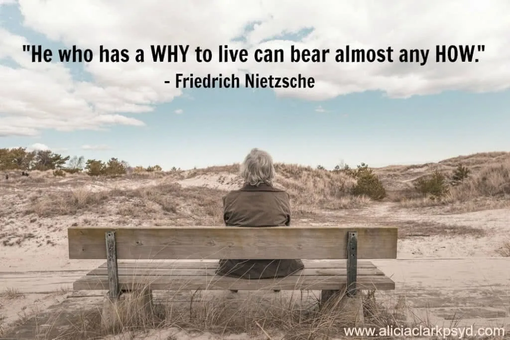Person with gray hair sitting on wooden bench overlooking desert landscape with quote about having a why to live.