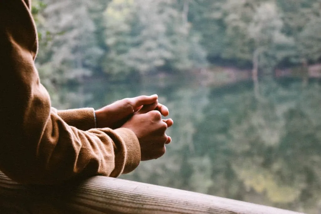 Child's hands resting on wooden railing overlooking forested landscape